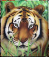animali tigre
